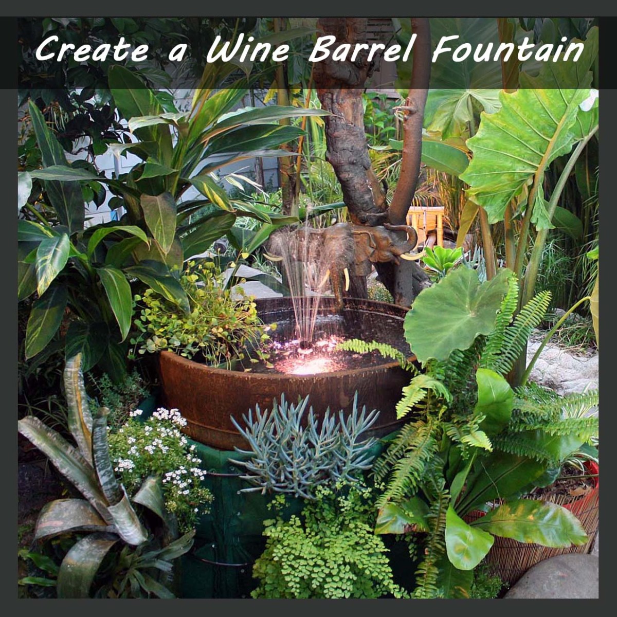tropical exotic plants with fountain lights